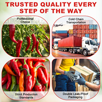 Complément alimentaire liquide à base d'extrait de plantes, gouttes de piment de Cayenne, pur et naturel, multivitamines, supplément liquide de piment de Cayenne