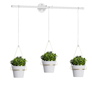 Indoor <strong>Herb</strong> Garden Hanging <strong>Planter</strong> 3-Piece <strong>Wall</strong>/Window Plant Hanger Flower Pots &amp; <strong>Planters</strong> for Indoor Use - Product Image 3