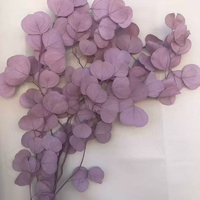 Fleurs et plantes séchées en gros : Eucalyptus séché, feuilles de pomme, tige unique, écorchées, pour décoration de mariage