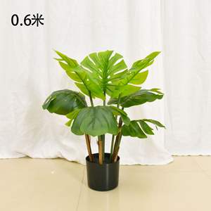 Ornamenti all'ingrosso piante verdi grande albero da pavimento per interni decorazione per la casa in vaso di piante - Product Image 4