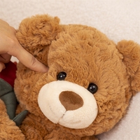 Groothandel 30cm Teddybeer met Roos Zachte Pluche Beer Pop Knuffeldier Speelgoed Valentijnsdag Decoratie Cadeaus Feestdag Cadeau