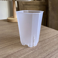 Mini pot de fleurs octogonal transparent en résine, à ouverture latérale, résistant au vieillissement, pour plantes succulentes de jardin
