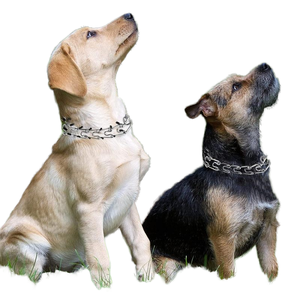 Colliers pour animaux de compagnie en acier inoxydable de haute qualité en gros - Colliers de sublimation, laisse d'entraînement détachable, collier anti-traction et anti-choc - Product Image 5