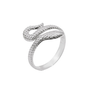 Verstellbarer Offener Edelstahlring für Frauen Personalisierter Schlangenförmiger Nischen-Fingerring aus Titanstahl - Product Image 5