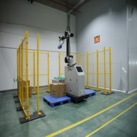 Robot de Paletización Colaborativo de 20 kg y 50 kg, Sistema de Empaquetado, Máquina Paletizadora con Certificación CE, Solución Llave en Mano