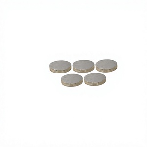 fit for TATA Telcoline 207 Xenon Pickup Truck Shim 254705138306 High Quality Auto Engine Spare Parts - Product Image 1