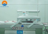 Machine d'emballage sous vide de haute capacité en acier inoxydable de qualité alimentaire pour l'industrie de la viande et les usines de transformation