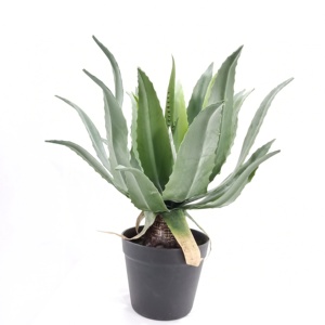 <span class=keywords><strong>Planta</strong></span> de plástico Artificial retardante de llama, simulación de bonsái decorativa, <span class=keywords><strong>maguey</strong></span> - Product Image 3