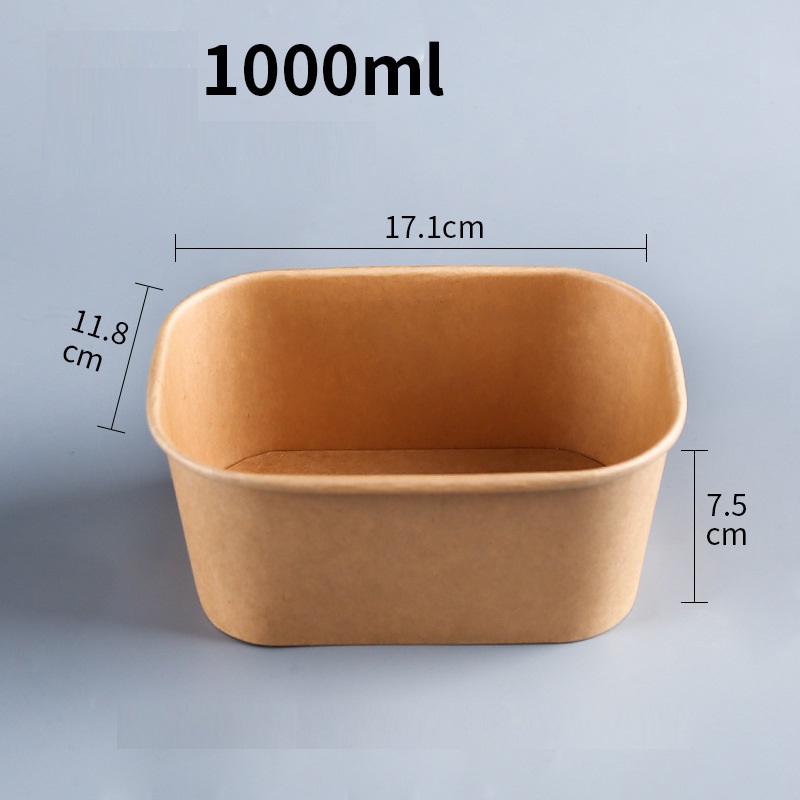 500ml Biodegradable Disposable Lunch Box For Food
