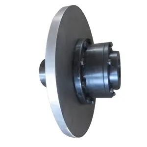 Drum Type Coupling Factory Sale High Quality Wgt Drum Gear Oil Gear Coupling With Brake Disc