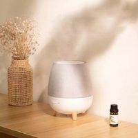 Diffuseur d'huiles essentielles ultrasonique portable mini LED 300 ml avec télécommande, lumière chaude, parfum d'ambiance, diffuseur d'air Sud-Est