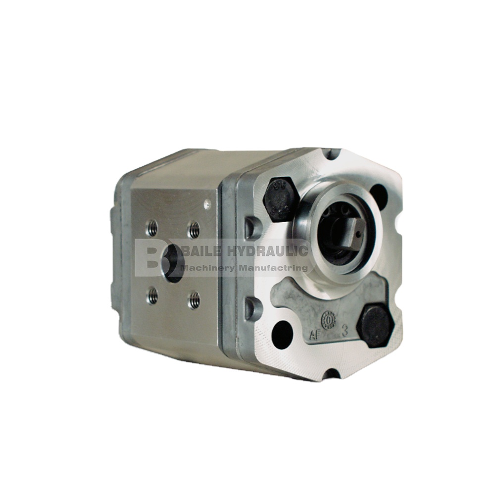 Marzocchi KL1P/KL1PD/KL1PG Series Gear Pumps – Durable Carbon
