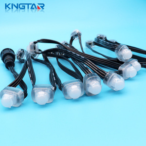 DC5V 12mm <span class=keywords><strong>RGB</strong></span> <span class=keywords><strong>LED</strong></span> Pixels Light IP67 FW1903 Luces de Navidad de plástico para uso en paisajes y parques temáticos - Product Image 2