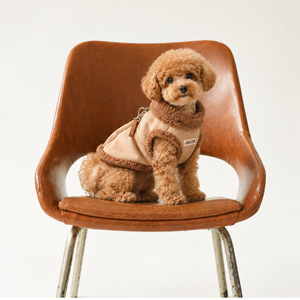 Suéter para Mascotas de Gamuza y Piel de Oveja, a la Moda y en Oferta, un Accesorio Cálido para el Invierno, Lavable a Máquina - Product Image 1