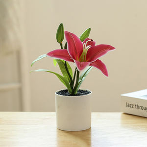 Pot de fleurs en plastique blanc de haute qualité, petit pot, fleur artificielle en soie, lys <span class=keywords><strong>cala</strong></span> oriental, fausse plante, fausse fleur pour la remise des diplômes - Product Image 3