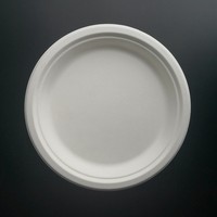 Assiette jetable compostable en pulpe de canne à sucre biodégradable multi-tailles sans PFAS de 9 pouces pour les fêtes