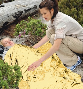 Couverture Thermique <span class=keywords><strong>de</strong></span> Survie d'Urgence 71002 220x140cm en Mylar Imperméable Réfléchissant avec Poids Intégrés pour Utilisation Extérieure - Product Image 3
