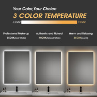 Miroir de salle de bain moderne anti-buée intelligent personnalisé 3 couleurs d'éclairage avec écran tactile rétroéclairé avec éclairage LED