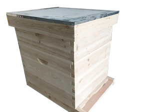 Equipo de Apicultura, Colmena de Madera Langstroth, Caja de Cría Profunda/Sin Montar, Nueva - Product Image 6