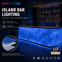 Feuille lumineuse LED flexible 24V RGBW RGBCCT 5-en-1 avec lentille optique, découpable, pour caisson lumineux publicitaire et comptoir en quartz