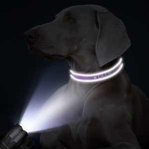 Custom Embroidered Dog <b>Collars</b> Personalized Reflective Nylon <b>Pet</b> Outdoor Safety <b>Collars</b> All Seasons Monochrome Letter Pattern - Product Image 3