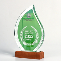 Trophée en cristal d'impression de couleur en forme de goutte d'eau brillante trophée personnalisé adapté à diverses cérémonies de remise de prix