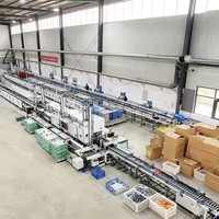 Sicherheits-ABS-Kunststoff und Metall Drahtseil-Siegelverschluss für Container, Kraftstofftank, LKWs