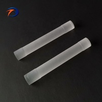 Verre optique lentille de cylindre lentille de tige pour l'endoscope