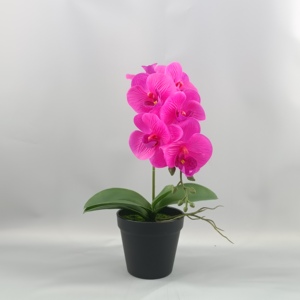 <span class=keywords><strong>Plante</strong></span> d'orchidée artificielle <span class=keywords><strong>en</strong></span> <span class=keywords><strong>pot</strong></span> de haute qualité, prix de gros imbattable, pour la décoration intérieure, mariages, remises de diplômes, Nouvel An - Product Image 2