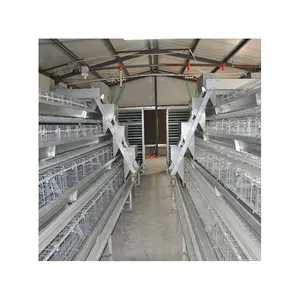 China Pullet Hühnerstall Ein Typ Chicken Pullet House Cage Benutzer definierte automatische Pullet Baby Chicken Batterie Brooder Cage