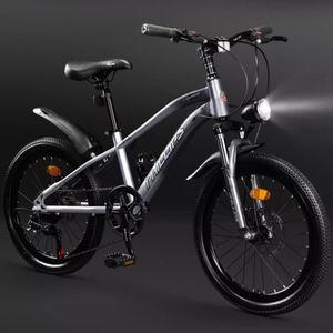 Niveau débutant à avancé Riders Hi-Ten cadre en acier 24 vitesses adolescent vélo tour vélo filles garçons enfants VTT - Product Image 5