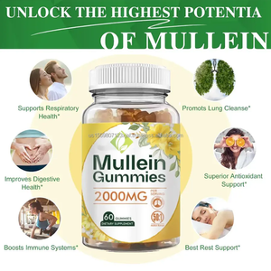 Suplementos dietéticos Mullein Gummies Extracto de hoja de Mullein Soporte digestivo Suplementos alimenticios Mullein Gummies - Product Image 2