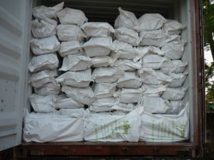 Colofonia de goma al por mayor con alta calidad y Mejor Precio competitivo del vendedor de Vietnam en 2023 - Product Image 6