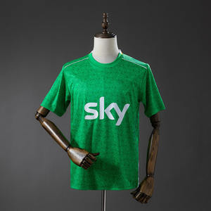 Camiseta <span class=keywords><strong>de</strong></span> Fútbol Retro Irlandesa Personalizada con Nombre <span class=keywords><strong>de</strong></span> Equipo para Hombre, 100% Poliéster, Secado Rápido, Transpirable, Cuello Redondo, Manga Corta, Transferencia <span class=keywords><strong>de</strong></span> Calor - Product Image 2