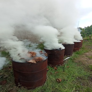 Charbon de coco haute performance conçu pour la production de briquettes, l'utilisation énergétique et les solutions de carbone premium à l'exportation - Product Image 5