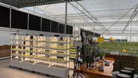 Systèmes de culture hydroponique d'intérieur One One pour plantes domestiques, système de culture hydroponique verticale NFT industriel, boîte de culture
