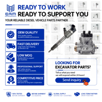 Injecteur de carburant diesel Common Rail 0445110694 pour moteur WOLF JE493, ensemble de soupape d'injection