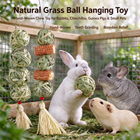 Jouet à mâcher suspendu en épis de maïs naturel fait main pour lapins et chinchillas – Anti-ennui et décoration de cage