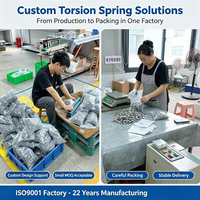 Ressort de torsion double sur mesure en acier inoxydable robuste pour machines agricoles, dents de herse, râteau de tracteur, tondeuse à gazon, débroussailleuse