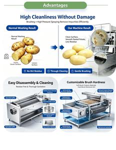 Máquina multifuncional para lavar frutas y verduras de alta calidad - Product Image 3