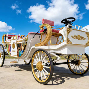 Chariot de mariage royal électrique économique à vendre pour le tourisme et les transports spéciaux - Product Image 1