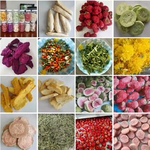 Sécheur par congélation domestique <span class=keywords><strong>grande</strong></span> capacité BZ 200 kg GYFD-20 ㎡   Avec un condenseur puissant pour la conservation des fruits, des viandes et des repas complets - Product Image 5