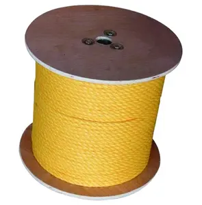 China Top 1 Rope supplier direct sales Super Strain pp pe danline rope ISO9000 hot sales