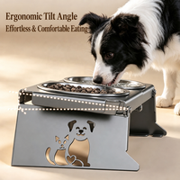 Bol pliable en acier inoxydable pour animaux de compagnie, double bol anti-renversement, surélevé pour le soin du cou des chats et des petits chiens NicePets