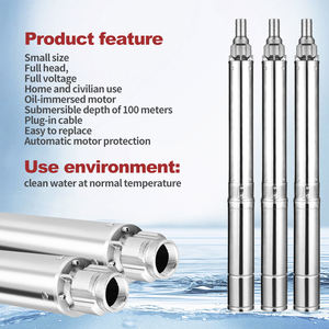 <span class=keywords><strong>Pompe</strong></span> à eau submersible en acier inoxydable 220V Nouveau produit pour l'irrigation des puits profonds - Product Image 4