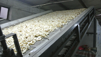 Machine industrielle de séchage du manioc avec moteur