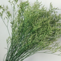 Buket Rumput Limonium Awet, Rumput Kekasih Abadi, Batang Pengisi Kering, Dekorasi Rumah, Hiasan Meja Pernikahan, Rangkaian Bunga, Dekorasi Rumah