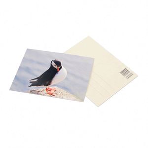 Offre Spéciale : Flyers, Brochures, Plis Pliés, Affiches, Cartes Postales et Flyers Promotionnels en Papier, Impression Personnalisée, Finition Brillante et Couleurs Vives - Product Image 3