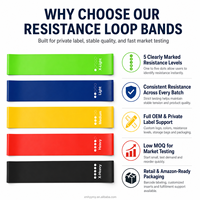 Bandas de Resistencia de Látex al por Mayor, Juego de 5 Bandas de Ejercicio en Bucle, Logotipo Personalizado, Fabricante de Bandas de Fitness para Gimnasio, Yoga y Glúteos