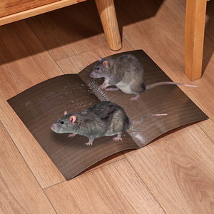 กับดักหนูและแมลงสาบ กาวเหนียวแน่น ปลอดสารพิษ ใช้แล้วทิ้ง สำหรับกำจัดศัตรูพืชในครัวเรือน แผ่นกาวขนาดใหญ่สำหรับดักจับหนู - Product Image 3